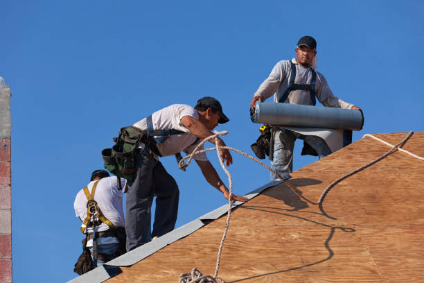 Best Local Roofing Companies  in Fort Sumner, NM