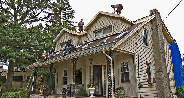 Best Shingle Roofing Installation  in Fort Sumner, NM