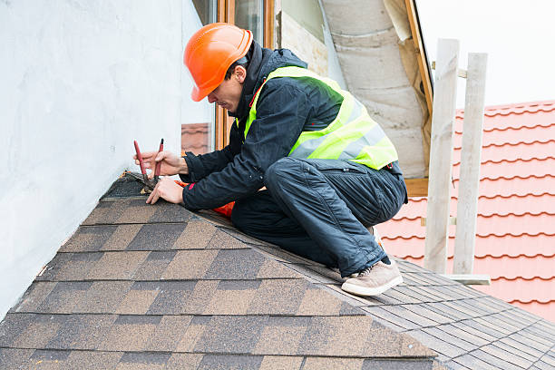 Best Roof Gutter Cleaning  in Fort Sumner, NM